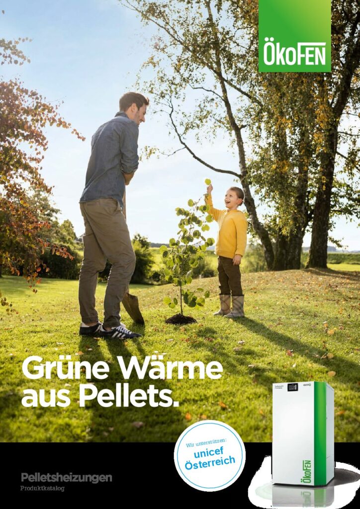 OekoFEN_PK_AT_low_aktuell